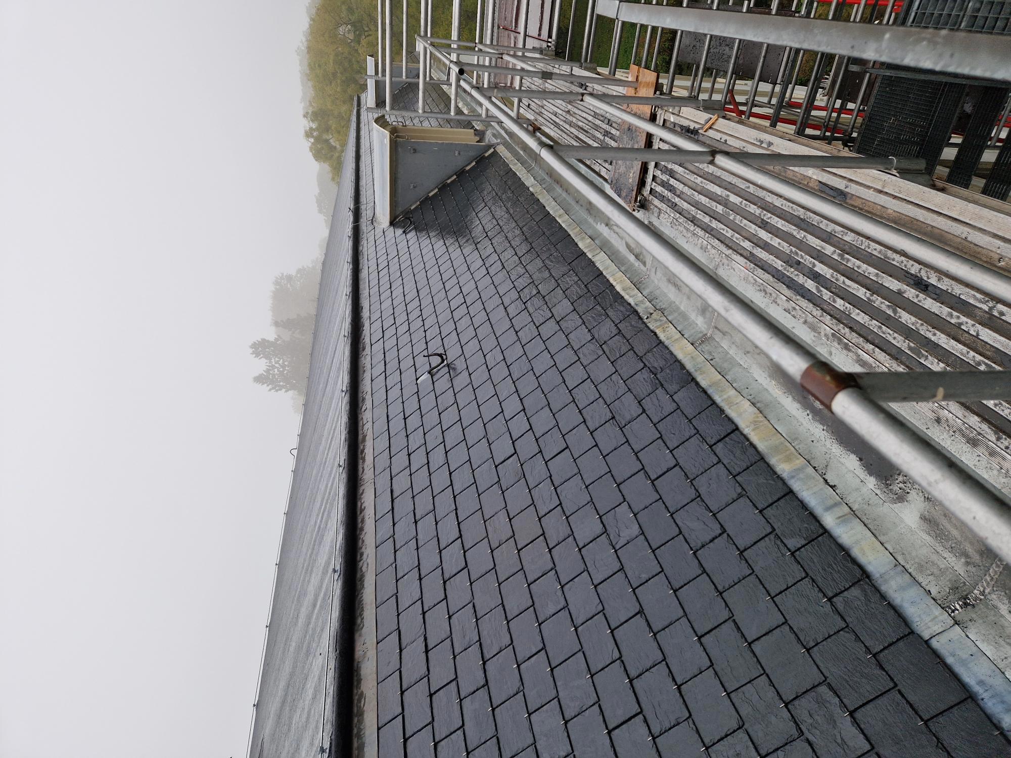 Natuurleien